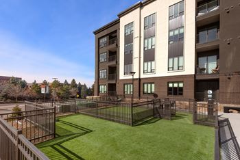 Paw park & parlor to groom furry companions